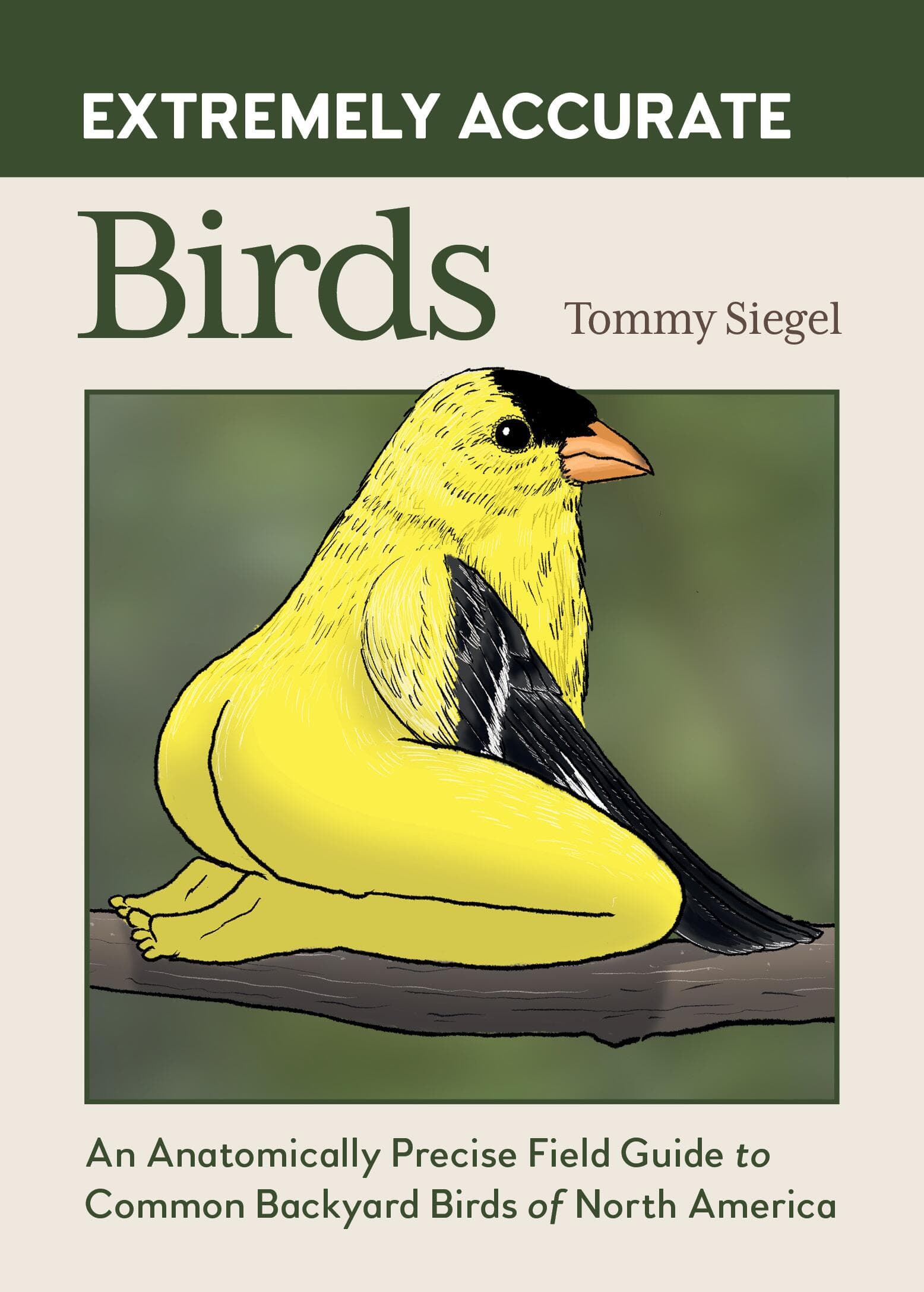 Extremely Accurate Birds: An Anatomically Precise Field Guide to Common Backyard Birds of North America - image 1