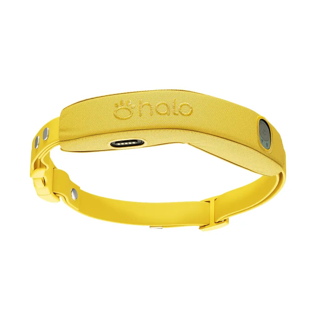 Halo Collar 5 Wireless GPS Dog Fence - image 1