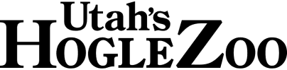 Product - image 1