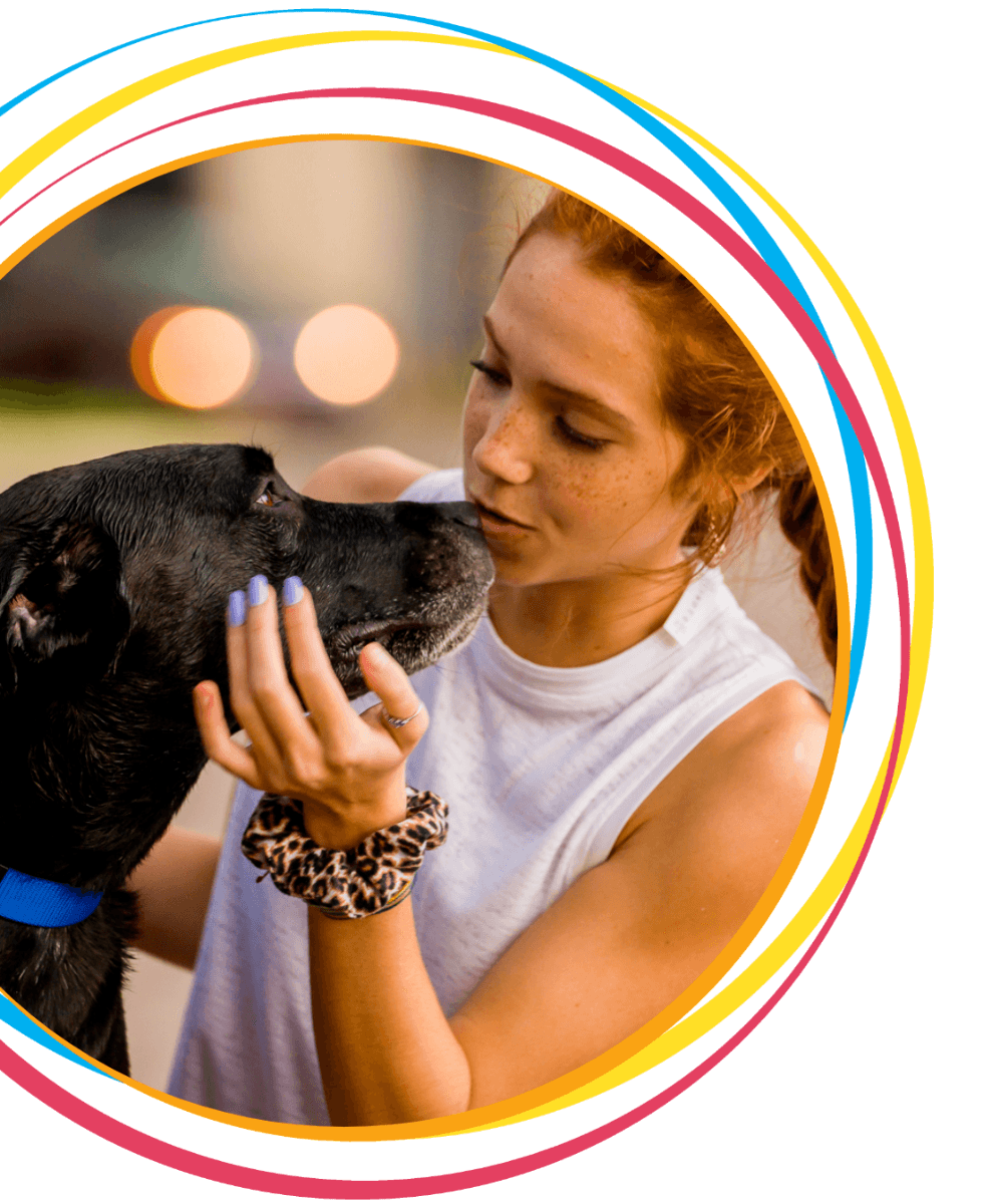 HomeAgain ® helps bring lost pets home - image 1