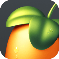 FL Studio Producer Edition - image 1
