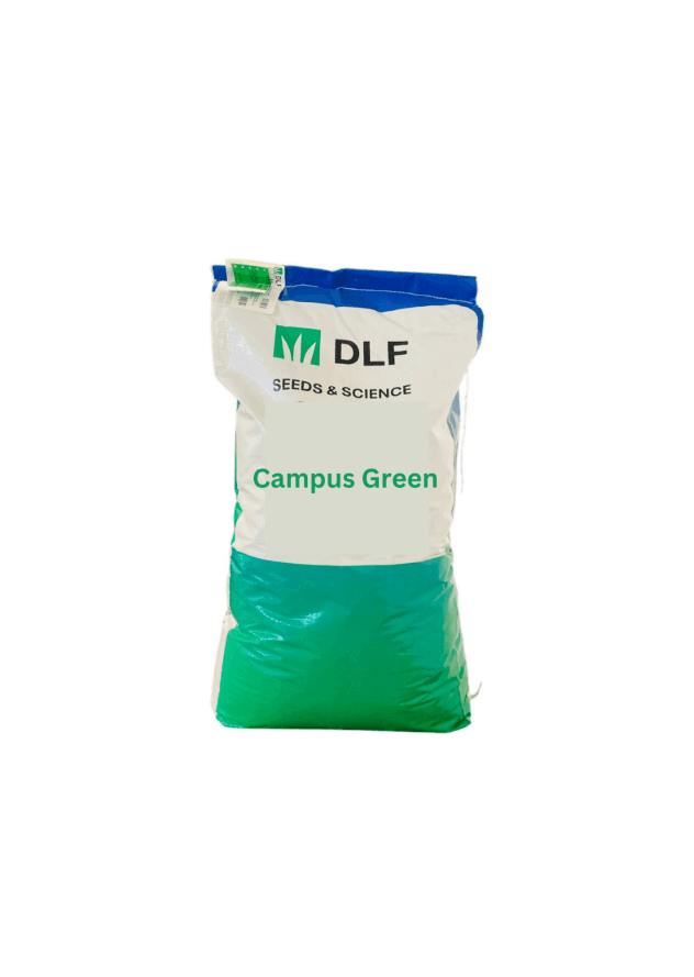 Campus Green Seed - image 1