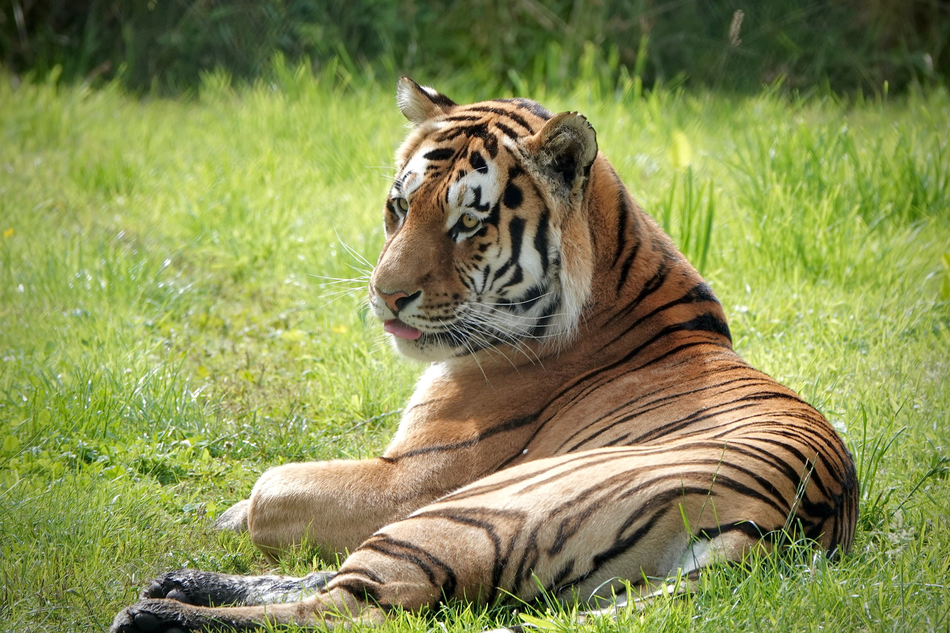 Knowsley Safari Experience Kids Clubs - image 1