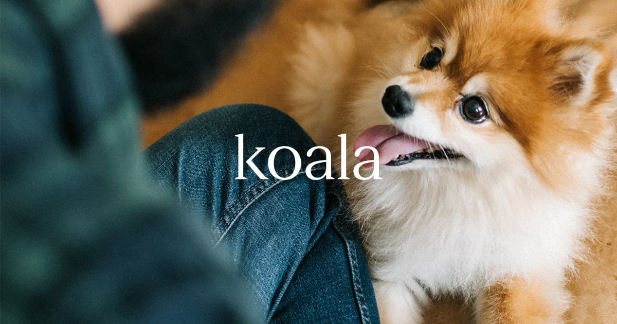 Koala Health Medications and Health Products for Pets - image 1