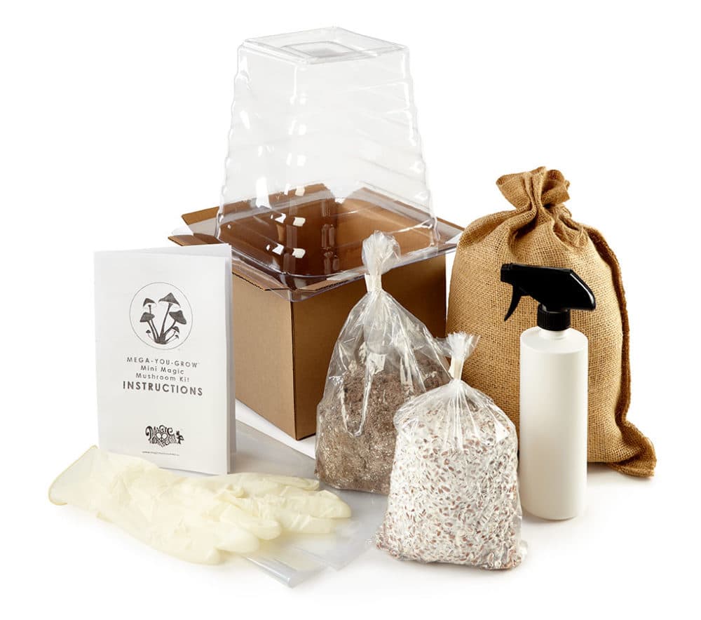 Mini Magic Mushroom Growing Kit – With Live Spawn - image 1