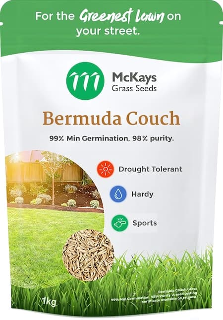 Bermuda Couch Grass Seed - image 1