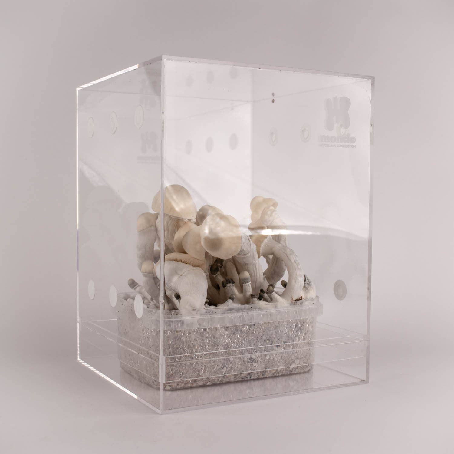 Mondotub Grow Box + Grow Kit Medium - image 1