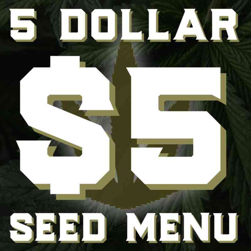$5 Seed Menu - image 1