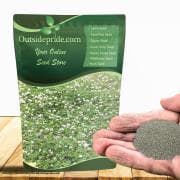 White Dutch Clover Seeds - image 1