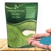 Oasis Bermuda Grass Seed - image 1