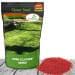 Miniclover Clover Seed 25 lbs - image 1