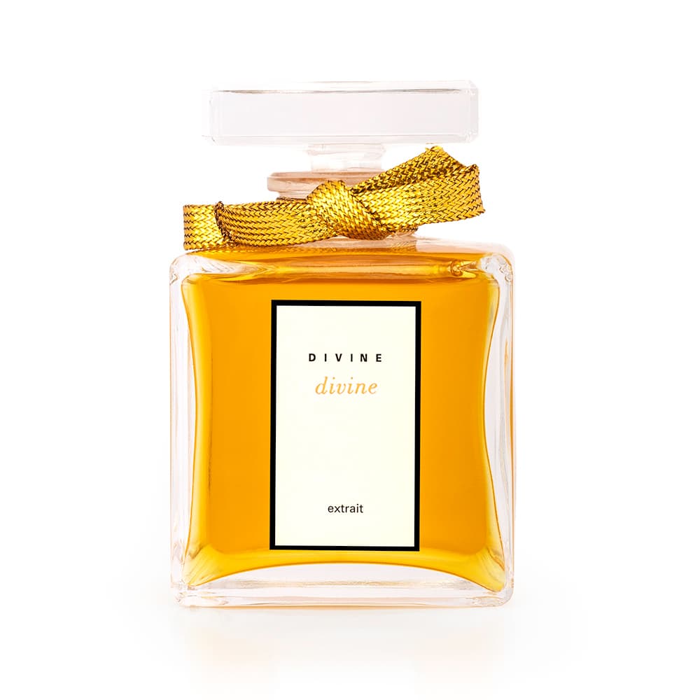 Divine Extrait de Parfum 50ml - image 1