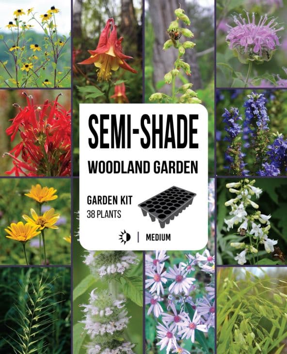 Semi-Shade Woodland Garden Kit - image 1