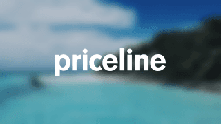 Deep Discounts on Hotels, Flights and Rental Cars - image 1