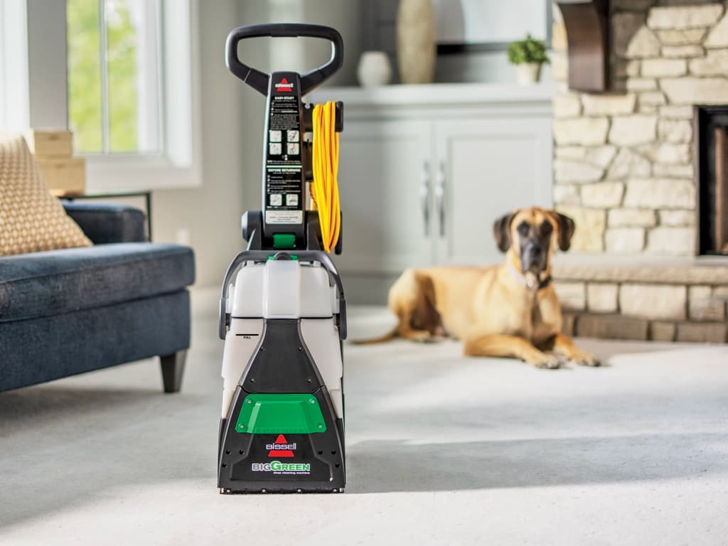 Making Professional-Grade Carpet Cleaning - image 1