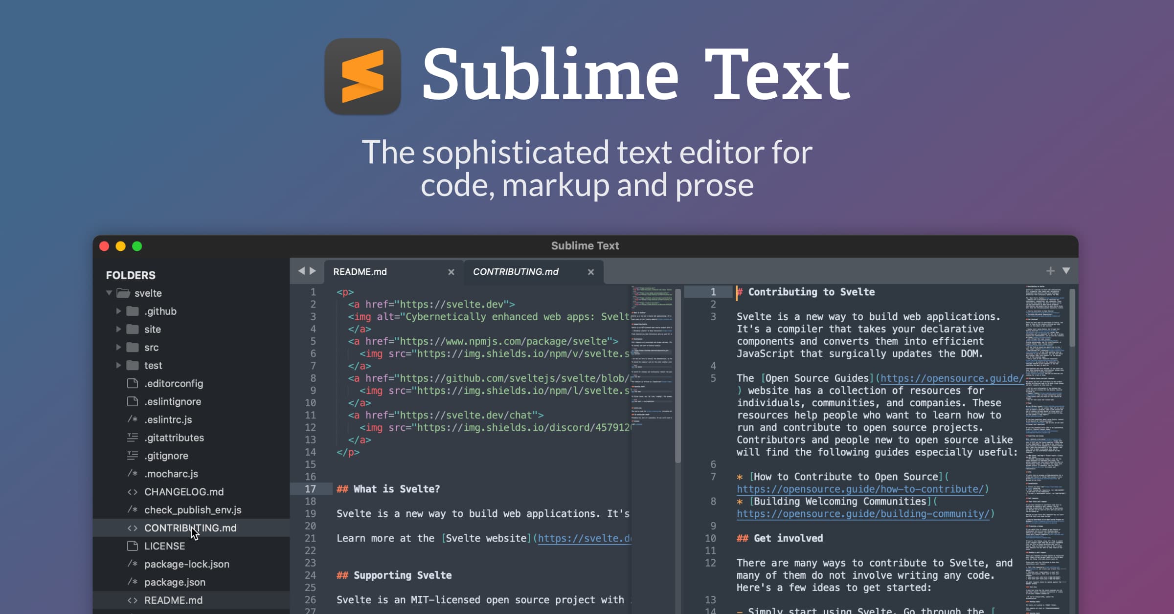 Sublime Text - image 1