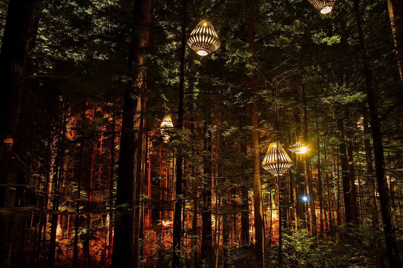 Redwoods Nightlights Treewalk - General Admission Nighttime Ticket - image 1
