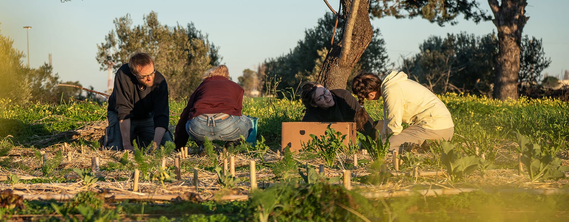 Workaway Fighting Climate Change - image 1