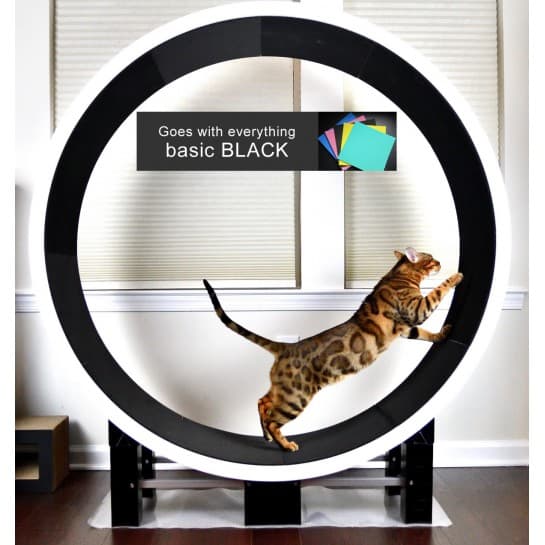 Ferris Cat Exercise Wheel G5 - image 1