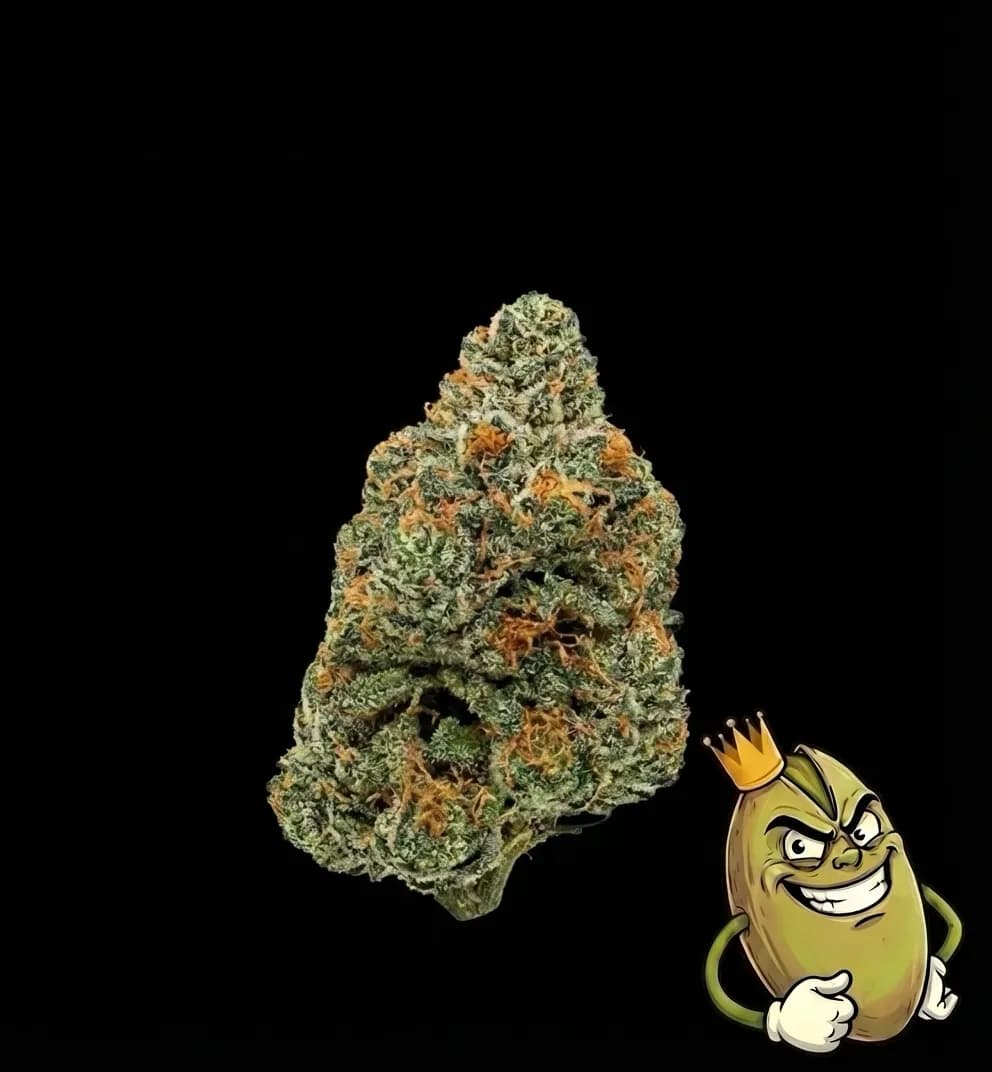 RS11 Rainbow Sherbet #11 - image 1