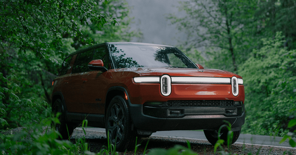 Forest Edge is back - image 1